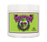 Advanced Nutrients Big Bud Powder - Boost fiori e frutti 2.5kg
