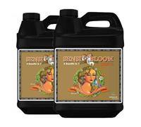 Advanced Nutrients Sensi Bloom Coco A+B pH Perfect - Fioritura rigogliosa 250ml