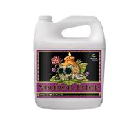 Advanced Nutrients Voodoo Juice radici forti crescita nutrizione assorbimento
