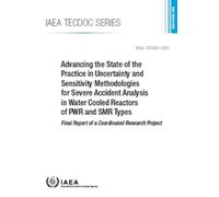 Advancing the State of the Practice in Uncertainty and Sensitivity M (Tascabile)