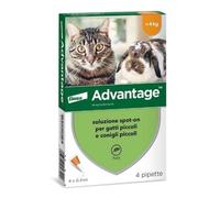 Advantage 40 Antiparassitario per Gatti fino a 4kg - 0,4ml confezione 4 Pipette