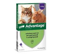 Advantage 80 Antiparassitario per Gatti oltre i 4kg - 0,8ml confezione 4 Pipette