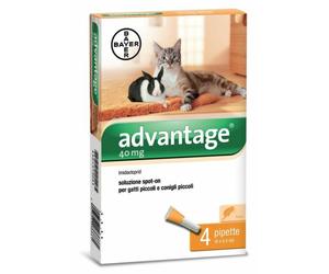 ADVANTAGE BAYER ANTIPULCI PER GATTI SOTTO I 4 KG - 4 PIPETTE