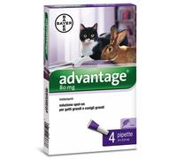 Bayer - Advantage 80 per Gatti o Conigli di oltre 4 Kg da 4 x 0,8 ml
