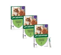 ADVANTAGE spot on 4 pipette per gatti super prezzo + spedizione gratuita