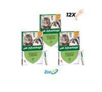 ADVANTAGE spot on 4 pipette per gatti super prezzo + spedizione gratuita