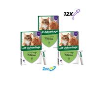 ADVANTAGE spot on 4 pipette per gatti super prezzo + spedizione gratuita
