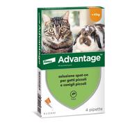ADVANTAGE spot on 4 pipette per gatti super prezzo + spedizione gratuita