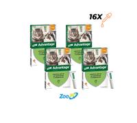 ADVANTAGE spot on 4 pipette per gatti super prezzo + spedizione gratuita