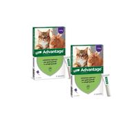 ADVANTAGE spot on 4 pipette per gatti super prezzo + spedizione gratuita