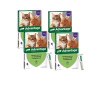 ADVANTAGE spot on 4 pipette per gatti super prezzo + spedizione gratuita