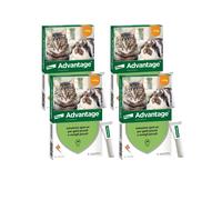 ADVANTAGE spot on 4 pipette per gatti super prezzo + spedizione gratuita