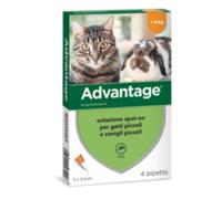 ADVANTAGE SPOT-ON ANTIPULCI ANTIPARASSITARIO PULCI ZECCHE GATTI E CONIGLI 4KG