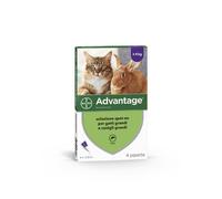 Advantage Spot On Gatti/Conigli 4X80 Mg | 4 X 0,8Ml