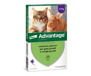 Advantage Spot On per gatti 4 x 0,8 ml (Advantage 80)