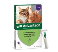 Advantage spot on trattamento antipulci per gatti grandi e conigli grandi 4