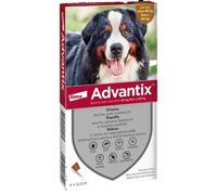 Advantix antiparassitario Spot-On per cani 4 pipette peso 40-60 kg - Antiparassitario per cani - 1° ORDINE? scegli lo sconto BZR5 / BZR20 + 200 punti fedeltà