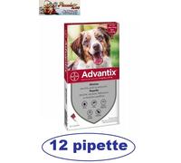 Advantix Bayer 10-25kg antiparassitario per cane 4- 6- 8- 12- 18- 20 pipette