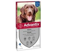 BAYER SpA (DIV.SANITA'ANIMALE) ADVANTIX SPOT-ON 4 PIPETTE 4 ML CANI OLTRE 25 KG