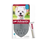 Advantix Celeste 4/10 Kg - Antiparassitario in pipette per cani di taglia piccola - 6 pipette