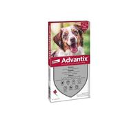 Advantix Rosso 10/25 Kg - Antiparassitario in pipette per cani di taglia media - 4 pipette