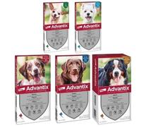 Bayer Advantix - Spot On Antiparassitario per Cani da 10Kg a 25Kg, 6 pipette