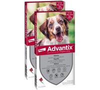 ADVANTIX Spot On Cane 10-25Kg KIT RISPARMIO 2X4 PIPETTE