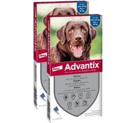 ADVANTIX Spot On Cane 25-40Kg KIT RISPARMIO 2X4 PIPETTE