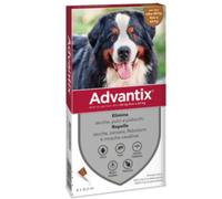 Advantix Spot-On Cani 4 pipette BAYER