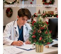 Advent Anatomy Calendar,Acrylic 2d Pendant Christmas Countdown - Body Organ Science Ornaments Calendar - for Home Office School Classroom Labs Science Lovers Nurses Teachers Students