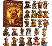 Advent Calendar 2025 with 24 Surprises, Holiday Countdown Calendar for Kids & Adults, Fun Family Christmas Decoration (BB)