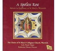 Advent to Epiphany - Spotless Rose