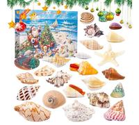 Adventskalender 24 Tage - Christmas Countdown Spielzeug | Wissenschaftliche Sammlung Muscheln Modell Für Tägliche Familienaktivität, Schule, Klassenraum, Zuhause, Kinder, Jugendliche, Kreative Advents