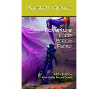 Adventure Code Space Panic!: A Flint Lockton Interstellar Future Quest