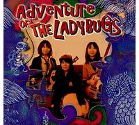 Adventure of the Ladybugs
