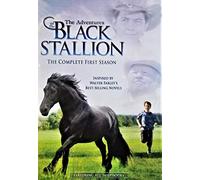 Adventures of Black Stallion: First Season