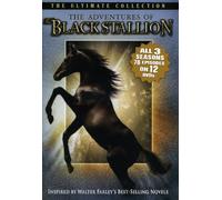Adventures of the Black Stalli