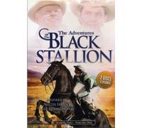 Adventures of the Black Stalli - Adventures of the Black Stalli