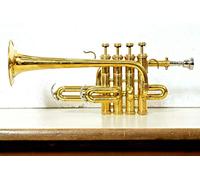 ADVIK Piccola tromba finitura ottone passo BB/A con custodia rigida e bocchino