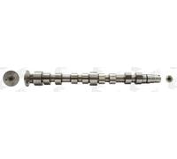 AE Albero a Camme Entrata per VW Golf IV 1J1 1.4 16V 1.6 Polo 6R_ 9N_ Seat Ibiza