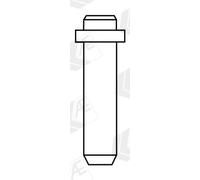 AE VAG96041B Guida valvola per AUDI,FORD,MULTICAR,SEAT,SKODA,VW,VW (FAW),VW (SVW