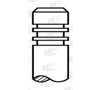 AE Valvola di Aspirazione 100.9 MM per Renault Clio IV Ca Dacia Lodgy Spolverino