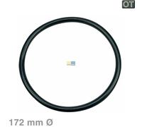 AEG Electrolux Guarnizione Filtro / Pompa Pot 172mmØ 899646121770/6 per Piatti