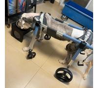 AEGCAOJH Carrozzine per Cani disabili 4 Ruote/2 Ruote, Carrozzina per Cani con Supporto per Tutte Le Gambe S/M/L/XL/XXL, carrelli Leggeri per Animali Domestici per recuperare la Mobilità (b