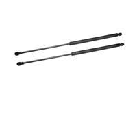 AEIOUPMMA 2 Pezzi/Set Supporti per Molle per finestrini Posteriori portellone Posteriore,Accessori per BMW X5 E53 2000 2001 2002 2003 2004 2005 2006(Black)