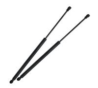 AEIOUPMMA 2 Pezzi/Set Supporto Cofano Molla Montante Cofano Anteriore per Lexus GS300 GS350 GS430 GS450h GS460 2005-2009 2010 2011 2012(Black)