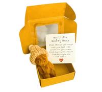 AEIXYA Orsetto Regalo in Scatola, Peluche Tascabile Morbido, Idea Regalo Unica per Mamma, Neonato, Natale, Battesimo, Laurea, Amicizia e Occasioni Speciali, Confezione Regalo Elegante