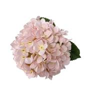 AEJHSIN Ortensie Artificiali 1 bouquet di fiori artificiali seta, peonia e ortensia, for la casa, for matrimoni, feste compleanno, capodanno, San Valentino, decorazioni floreali(C01)