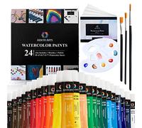 AEM Set di pittura ad acquerello - Kit di materiali artistici 24 tubi di pittura per acquarello, set di pennelli, carta e tavolozza/vaschetta per colori ad acqua