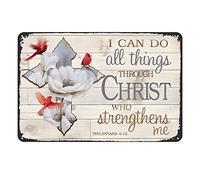 Aenaon Cardinal I Can Do All Things Through Christ Targa in metallo vintage per casa, cucina, garage, bar, grotta, decorazione rustica, 20 x 30 cm